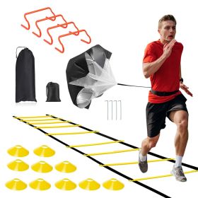 Speed Agility Training Equipment Set For Pro Beginner Including Cones Parachute Stakes Hurdles 19.68FT Ladder Speed Agility Training Equipment Set For Pro Beginner Including Cones Parachute Stakes Hurdles 19.68FT Ladder